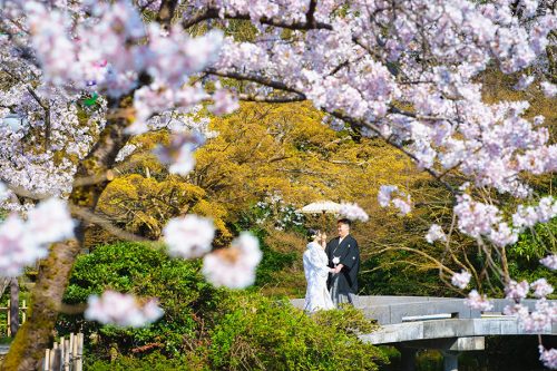 富山県でロケーション撮影を一番たくさん行っています
