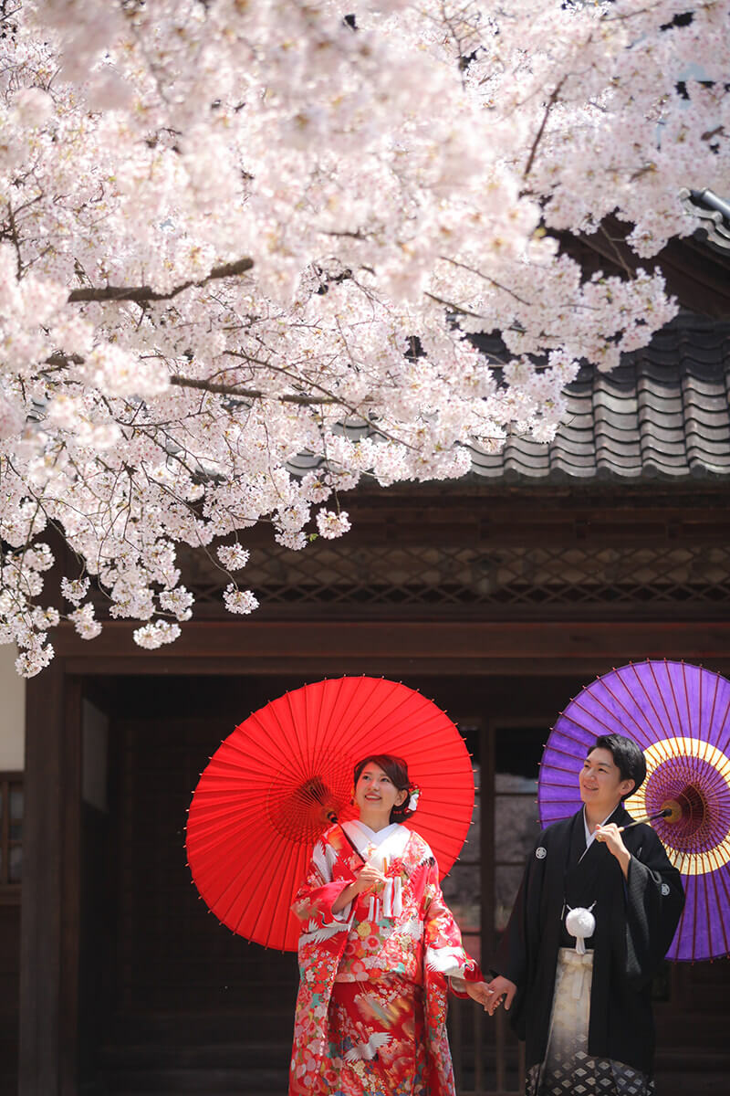 富山市の内山邸にて桜フォトウェディングを撮るなら、ブライダルハウスひまわりが一番人気